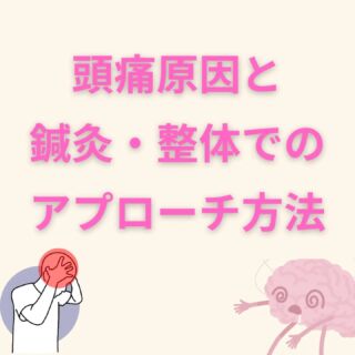 【頭痛の原因と鍼灸・整体でのアプローチ】

日常的に頭痛でお悩みの方、多いのではないでしょうか？頭痛にはさまざまな原因がありますが、鍼灸・整体院にご相談いただく内容は、大きく分けて「片頭痛」と「筋緊張性頭痛」の2つに分類されます。

◆ 片頭痛
▶ 三叉神経の興奮が関与しているという説があり、血管の拡張や神経の炎症によってズキズキとした痛みが特徴です。
▶ 当院では、鍼灸施術を用いて三叉神経の働きを調整し、興奮を抑えることで片頭痛の症状を和らげます。

◆ 筋緊張性頭痛
▶ 首や肩の筋肉が緊張することで血流が悪化し、頭全体が締めつけられるような痛みが出るのが特徴です。
▶ 特に、猫背や姿勢不良が原因となることが多いため、当院ではドライヘッドスパ・肩甲骨はがし・鍼灸施術を行い、筋肉の緊張をほぐして血流を改善します。

⚠ 注意点
長年続く頭痛や、急に強くなった頭痛は重大な疾患が隠れている可能性もあります。必ず頭痛外来や神経外科を受診し、医師にご相談の上、ご予約をお願いいたします。

頭痛の緩和を目指したい方は、ぜひご相談ください！

#沼田市
#昭和村
#みなかみ町
#川場村
#片品村
#頭痛
#鍼灸
#肩甲骨はがし
#ドライヘッドスパ
#もみほぐし